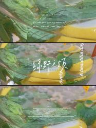 -紫御国际抗衰ZOE ANTI AGING