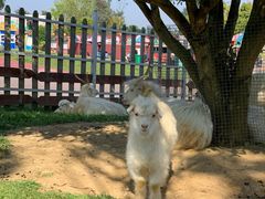 -云漫湖生态度假公园