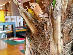 -HFFOUSA TACO弗萨塔可墨西哥餐厅(颐堤港店)