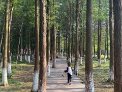 -艾溪湖湿地公园