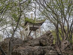 -紫金山山顶公园