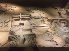 -洛阳周王城天子驾六博物馆