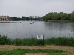 景点-朝阳公园