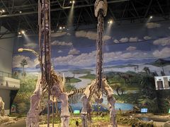 -自贡恐龙博物馆