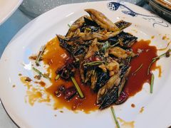 -海派美食·家宴海鲜青岛菜·石锅鲽鱼头(东方城店)