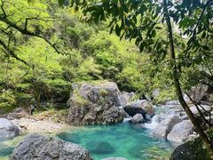 -石台牯牛降景区