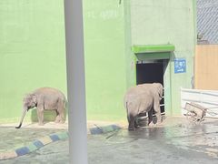 -大连森林动物园