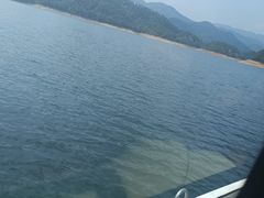 -洲晓鲜·舟山海鲜大排档(朱家尖风景区店)