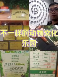 -酷嗒动物文化乐园(cutezoo西溪乐天城店)