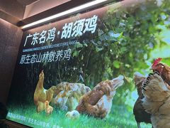 -野·大山里野生菌石锅土鸡(益田假日店)