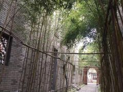 -龙潭水乡