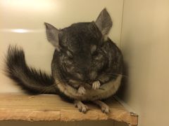 -龙猫仔乐园(惠福东路店)