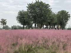 -汉长安城未央宫国家考古遗址公园