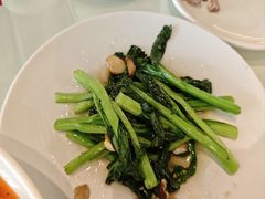 -老广酒楼(樱花店)