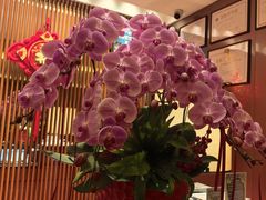 -手佳·水疗汇(杏林宁宝店)