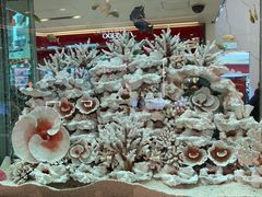 -崇光百货(铜锣湾店)