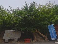 -金龙寺国家森林公园