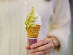 抹茶雪糕-CHOCHENG&CO.(欢乐海岸店)