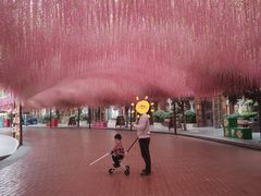 -郑州方特梦幻王国