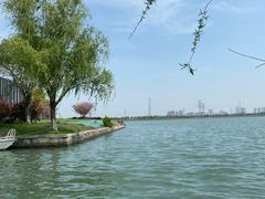 -漕湖湿地公园