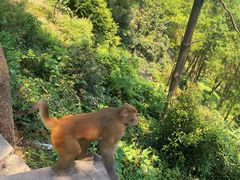 -重庆雨台山风景区
