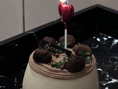 -莎琳娜食品有限公司·蛋糕店