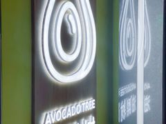 -油梨树AVOCADO TREE(望京店)