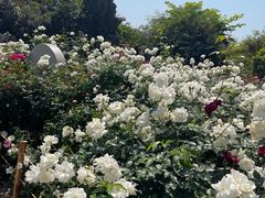 -人民公园(罗湖区)