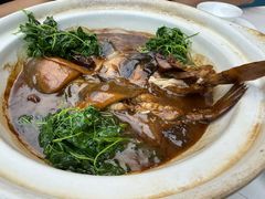 红烧河豚-永丰源大酒店(人民中路店)