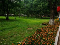 -吉林大学(前卫南校区)