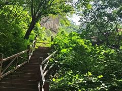 -大岭沟猕猴桃谷风景区