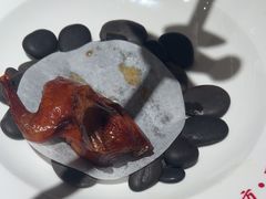 -谭厨中山传家菜.乳鸽.脆鲩鱼(华强北中航城店)