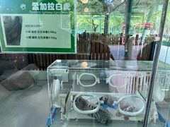 -宁波野生动物园