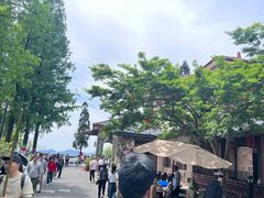 -莫干山风景区