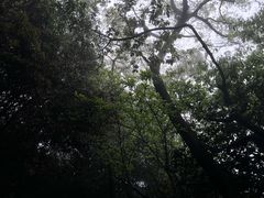 -普陀山慧济禅寺