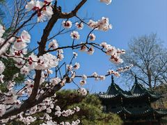 -晋商博物院