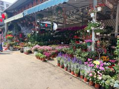 -广西壮族自治区药用植物园