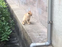 -大钟寺古钟博物馆