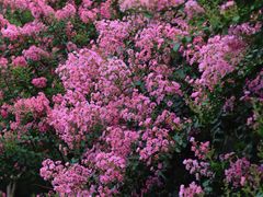 -杭州城北体育公园