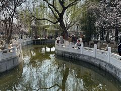 -桃花堤公园