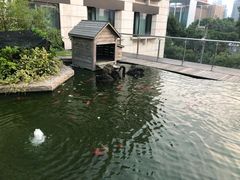 -南京圣和府邸豪华精选酒店