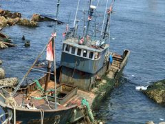 -大连老虎滩海洋公园