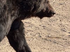 -鄂尔多斯野生动物园