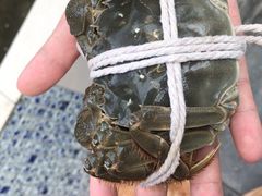 -水岸居湖景农家乐·阳澄湖大闸蟹
