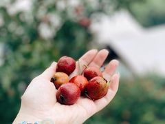 -北京山里寒舍度假酒店