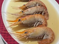-圆苑(静安寺店)
