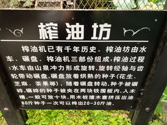 -青青世界