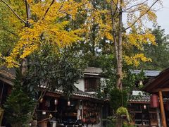 -青城甲(青城山店)