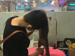 -米卢宠物公园(广华居店)