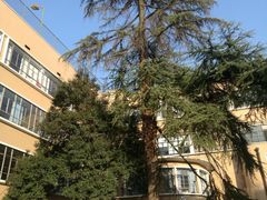 教学楼-向明中学